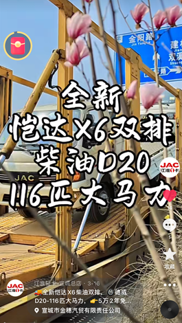 全新愷達(dá)X6柴油雙排，德威D20-116匹大馬力。
